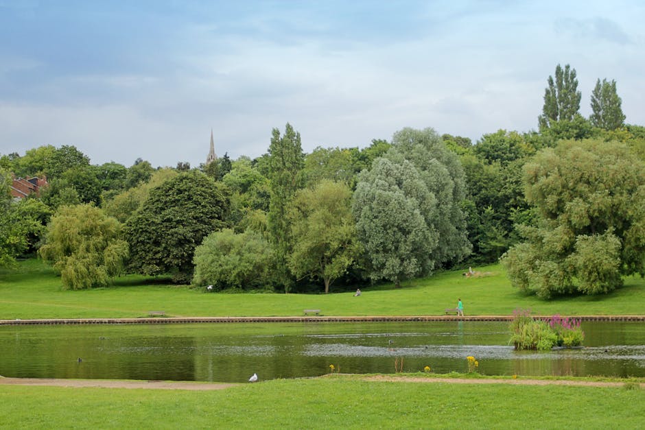 A landscape scene features a tranquil park with lush green grass, various trees including deciduous and coniferous specimens, and a calm pond reflecting the overcast sky. In the foreground, a narrow p